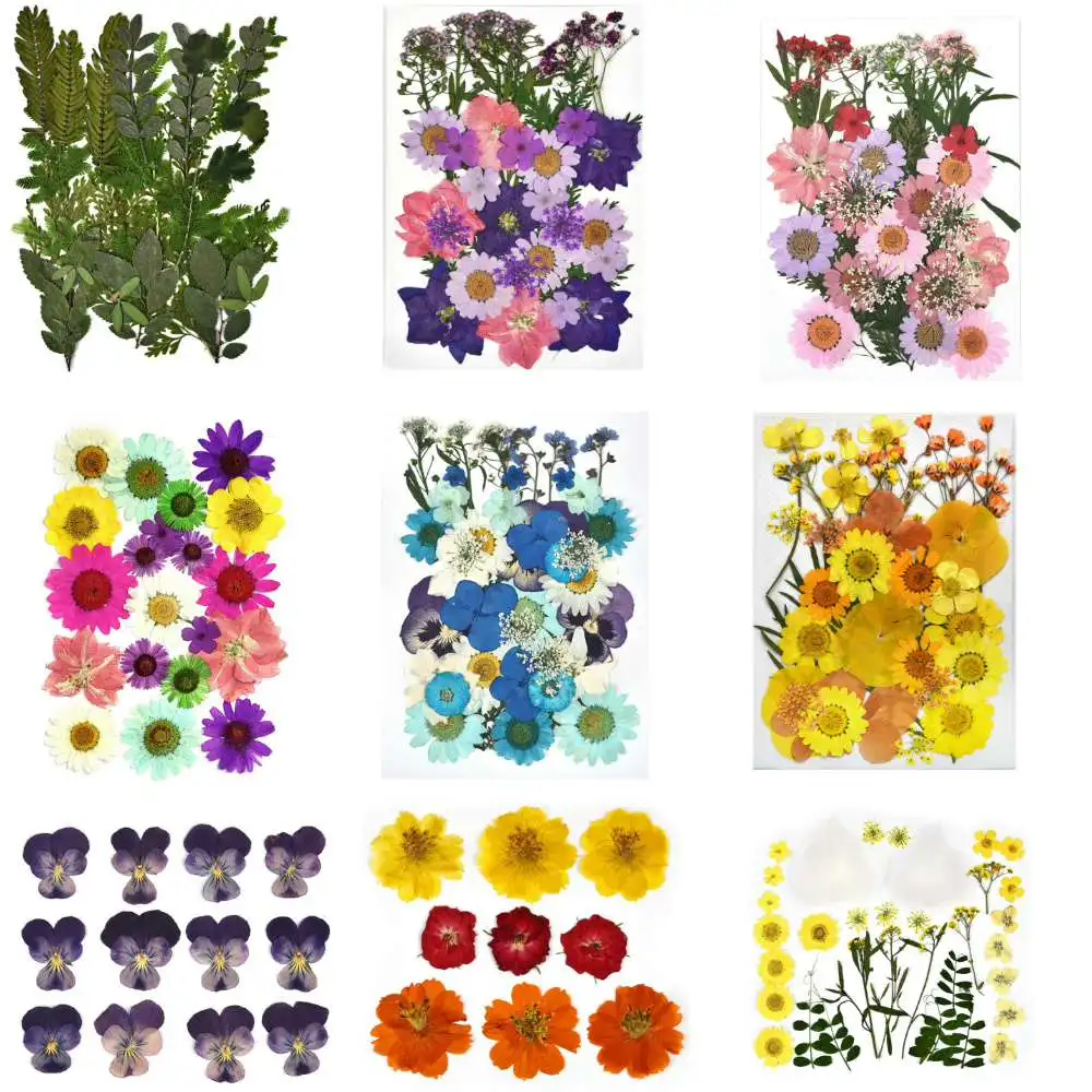 Dried Flowers Diy Pressed Flowers Stickers For Phone Case Jewelry Making Crafts Nail Art Decor Diy Party Home Decor