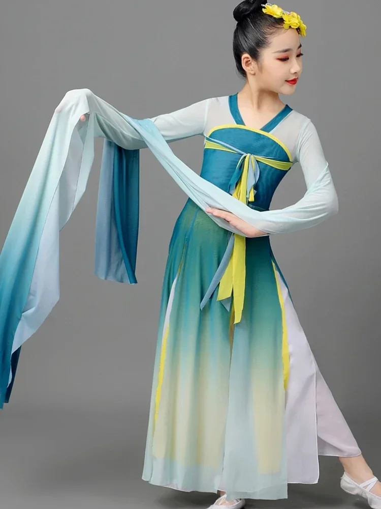 Chinese Folk Dance Classical Water Sleeve Performance Clothing Girls Traditional Yangko Dance Ancient National Fan Dance Outfit