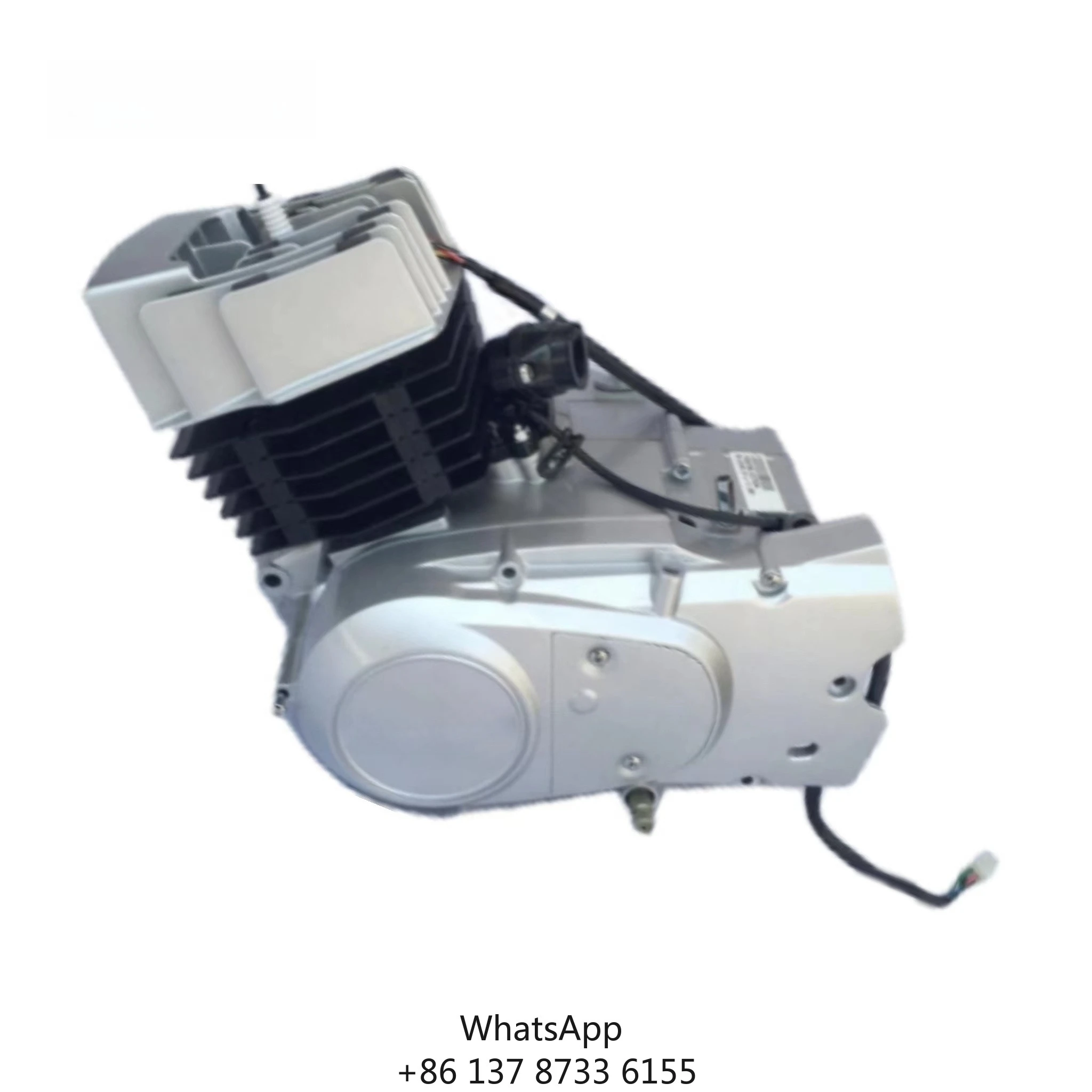 AX100 Engine 2 Stroke Air Cooled Manual Clutch PZ22JC Carburetor 6.3KW Kick Start CDI Motorcycle Engine
