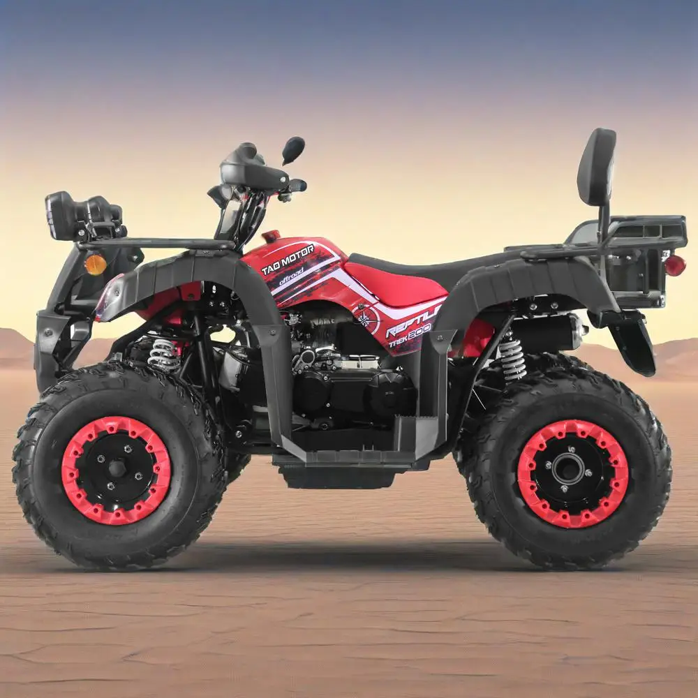 Tao Motor Automatic Chain Drive ATV Quad Bike Off Road Farm 150cc Cuatrimoto