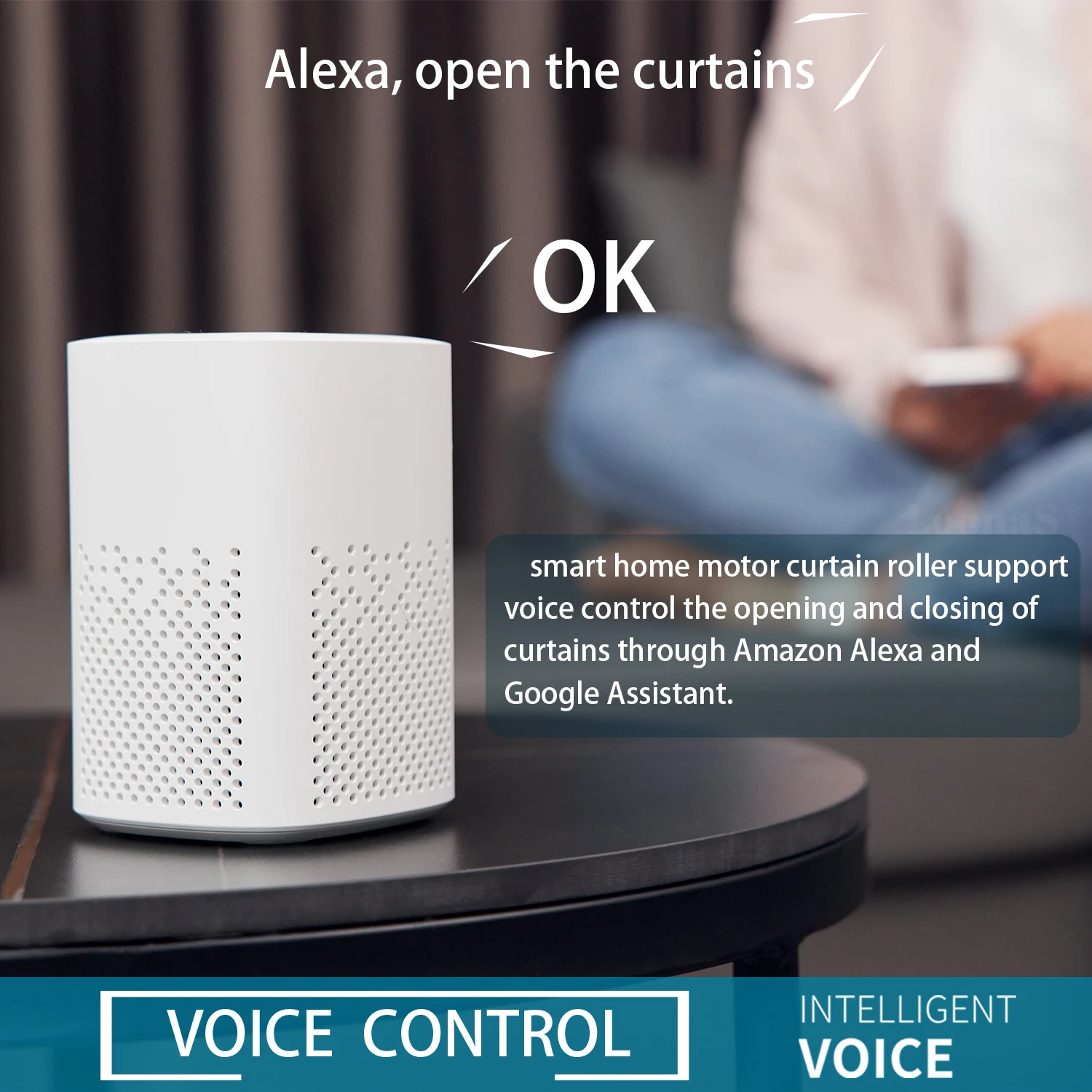 Smart Curtains Automatic Curtain Motor System Mini Tuya Wifi Electric Drive Track Rod Support Alice Alexa Google Assist