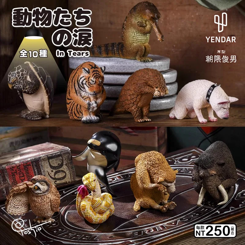 Original Animal Life Gashapon Animal with Tears Qversion Mini Anime Action Figure Model Toys Gifts Cartoon Character Collection