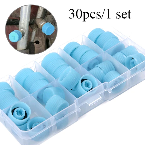 Tapa de puerto de refrigerante Universal para Interior de coche, válvula de carga de aire acondicionado, cubierta antipolvo, accesorios de mantenimiento de coche, 30 piezas