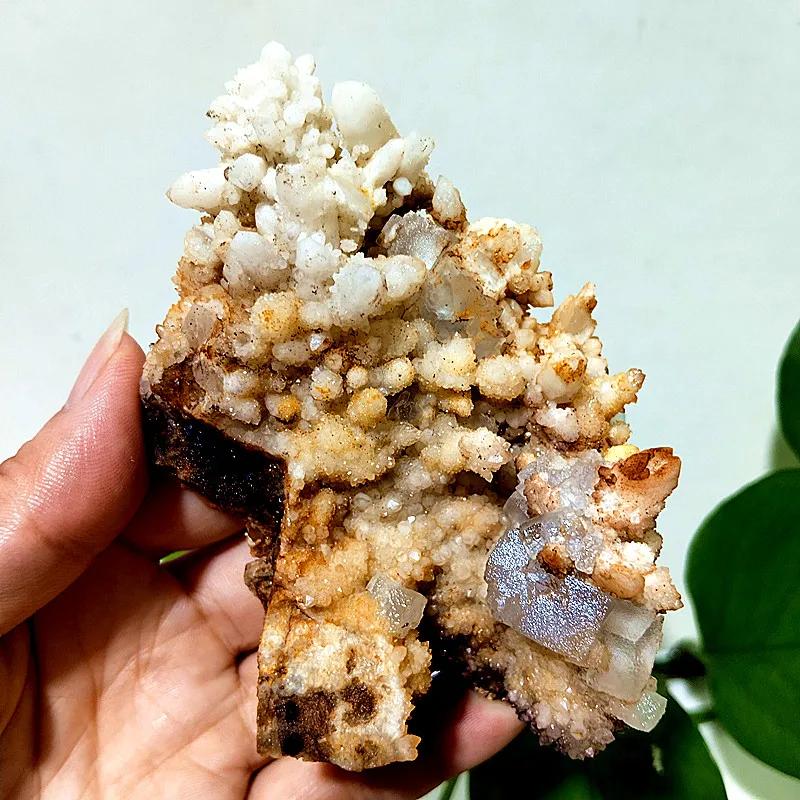 Natural Stones Crystal Clusters Are Associated With Fluorite Paragenesis Meditation Energy Feng Shui Crystal Room Ornament