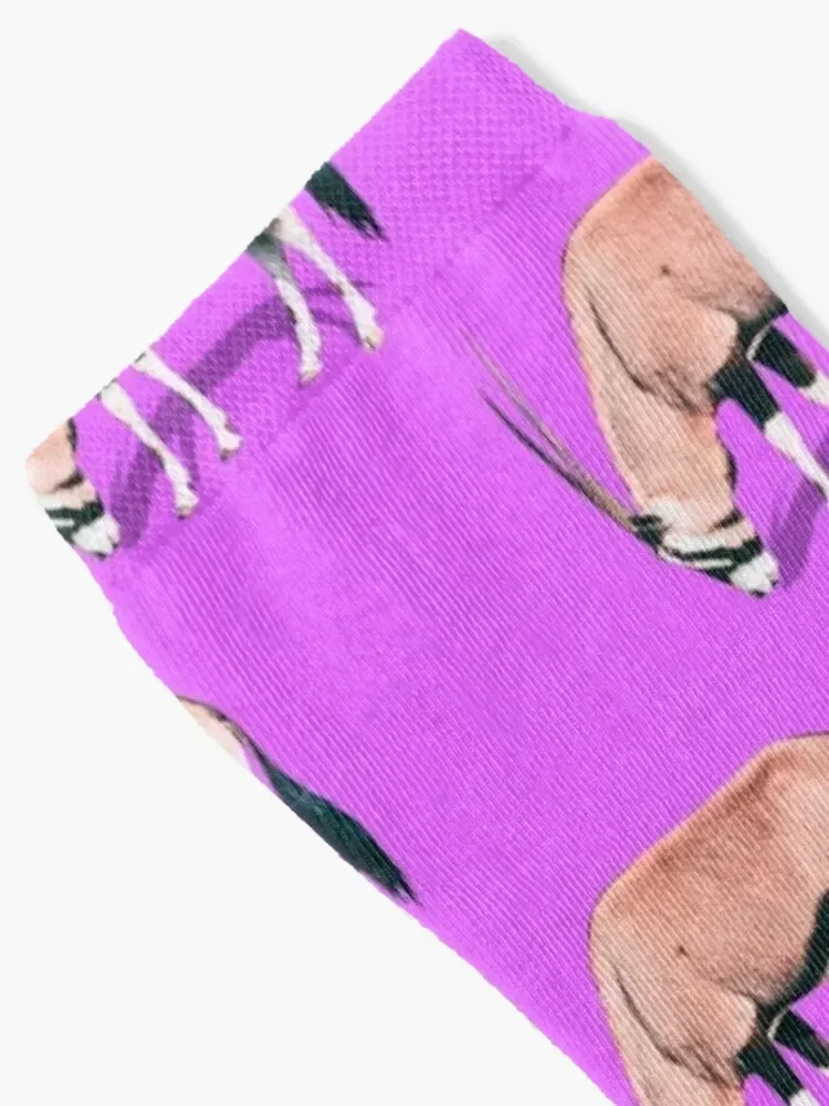 الظباء نمط الجوارب الهيب هوب الرياضة والترفيه الثلوج عدم الانزلاق الرجال الجوارب النسائية #2