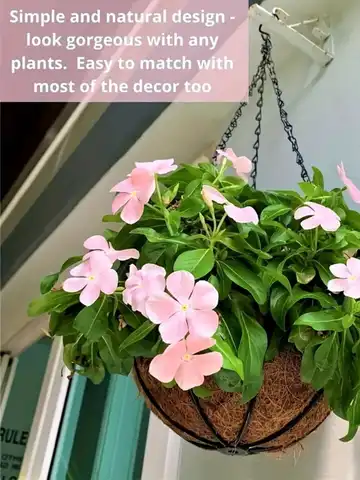 2 पैक, गार्डन हैंगिंग बास्केट 8-16 इंच - विंटेज जियो कोको-लाइनर के साथ, 2 हैंगिंग प्लांटर का पैक 6 best sales लटकती टोकरी - №3