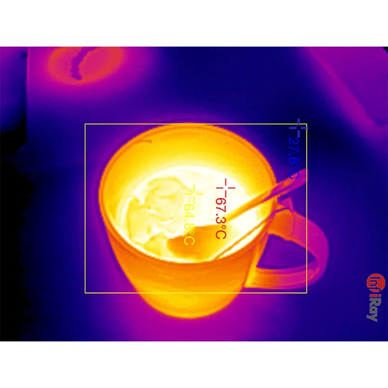 Inray Xinfrared T2L Thermal Imager termometro PCB Circuitboard visione notturna termocamera per telefono Android TypeC Industrial