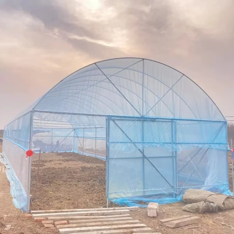 

Customized greenhouseSingle-span Tunnel Greenhouses with Multi-span Structures Are Used for Growing Vegetables, Flowers and Frui