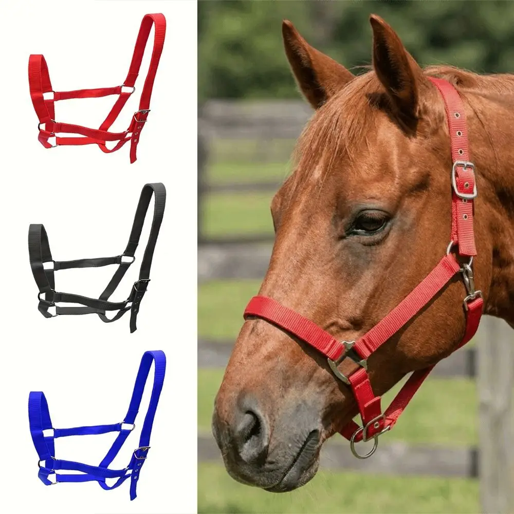 Adjustable Horse Halter Nylon Durable Equestrian Bridle Easy To Wear Wear Resistant Horse Training Rope Horse Training