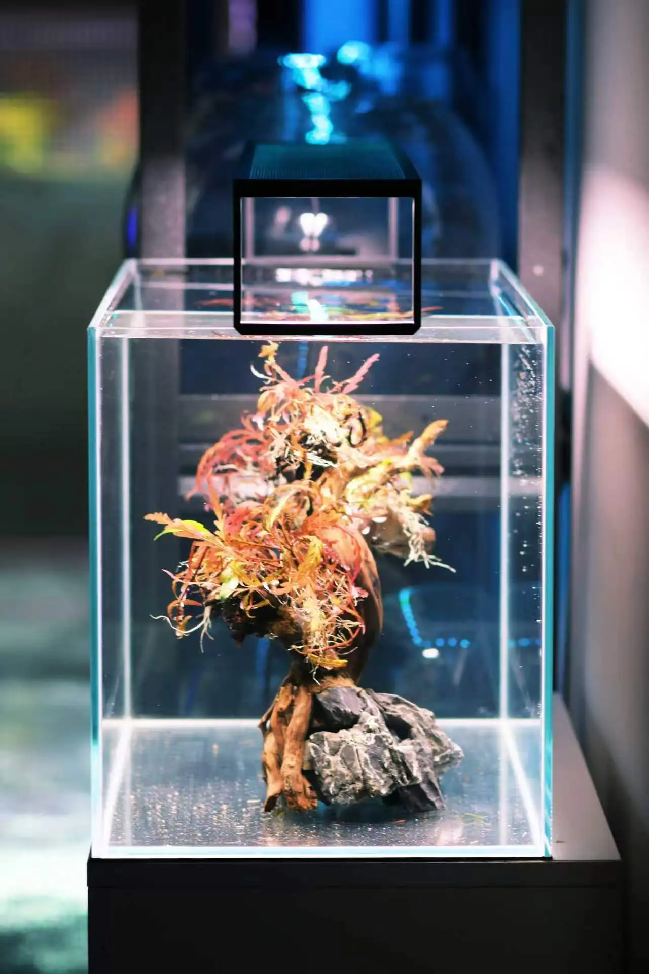 Extreme Sunrise set 45cm-50cm Fish Tank Full Spectrum planted Lighting LED Light Aquarium Decoration Aquatic Plant Growth Lamp