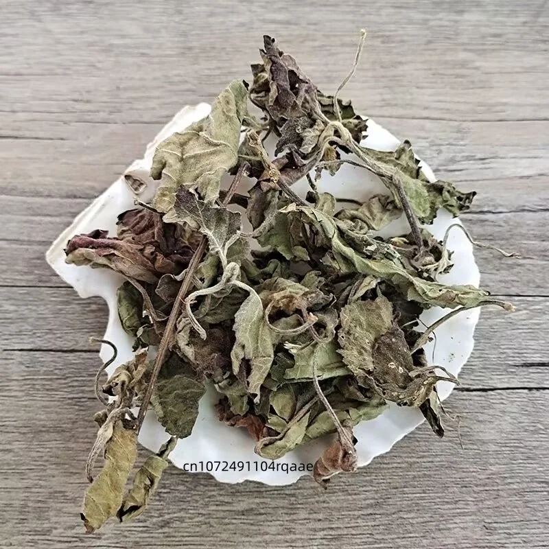 Top Dried Patchouli/Perilla Leaf Pure Natural Herbal Spice Dried Agastache Rugosa Leaf for Aromatherapy & DIY Crafts