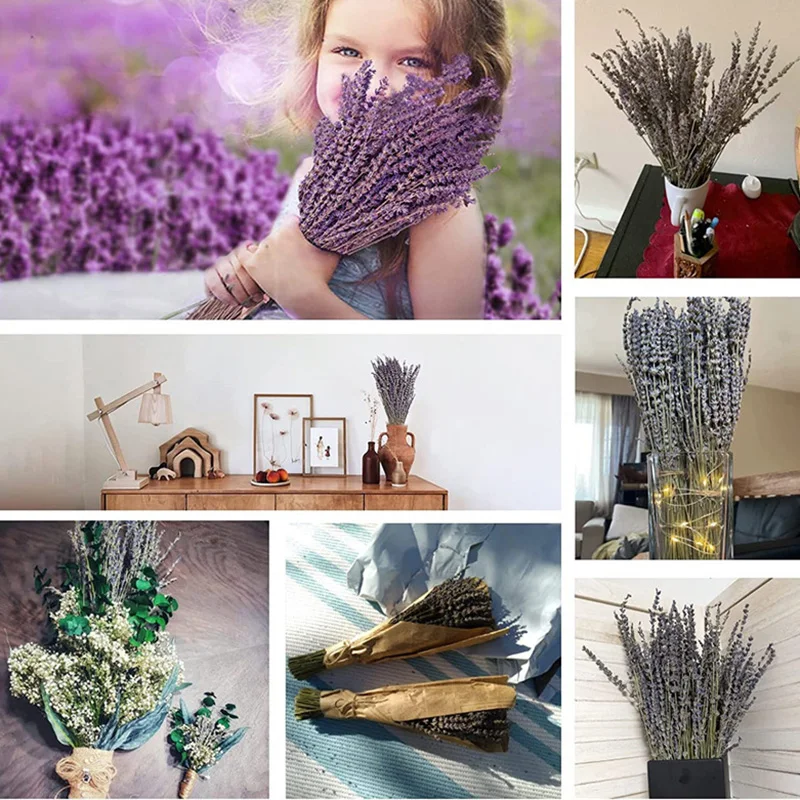 Dried Lavender Flowers 250-300 Stems 100% Natural Dry Lavender Bunches for Home Decoration, Home Fragrance, Handmade Soap Flower