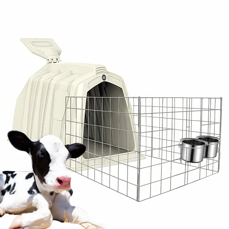 

Calf house with galvanized fence and plastic feed drums