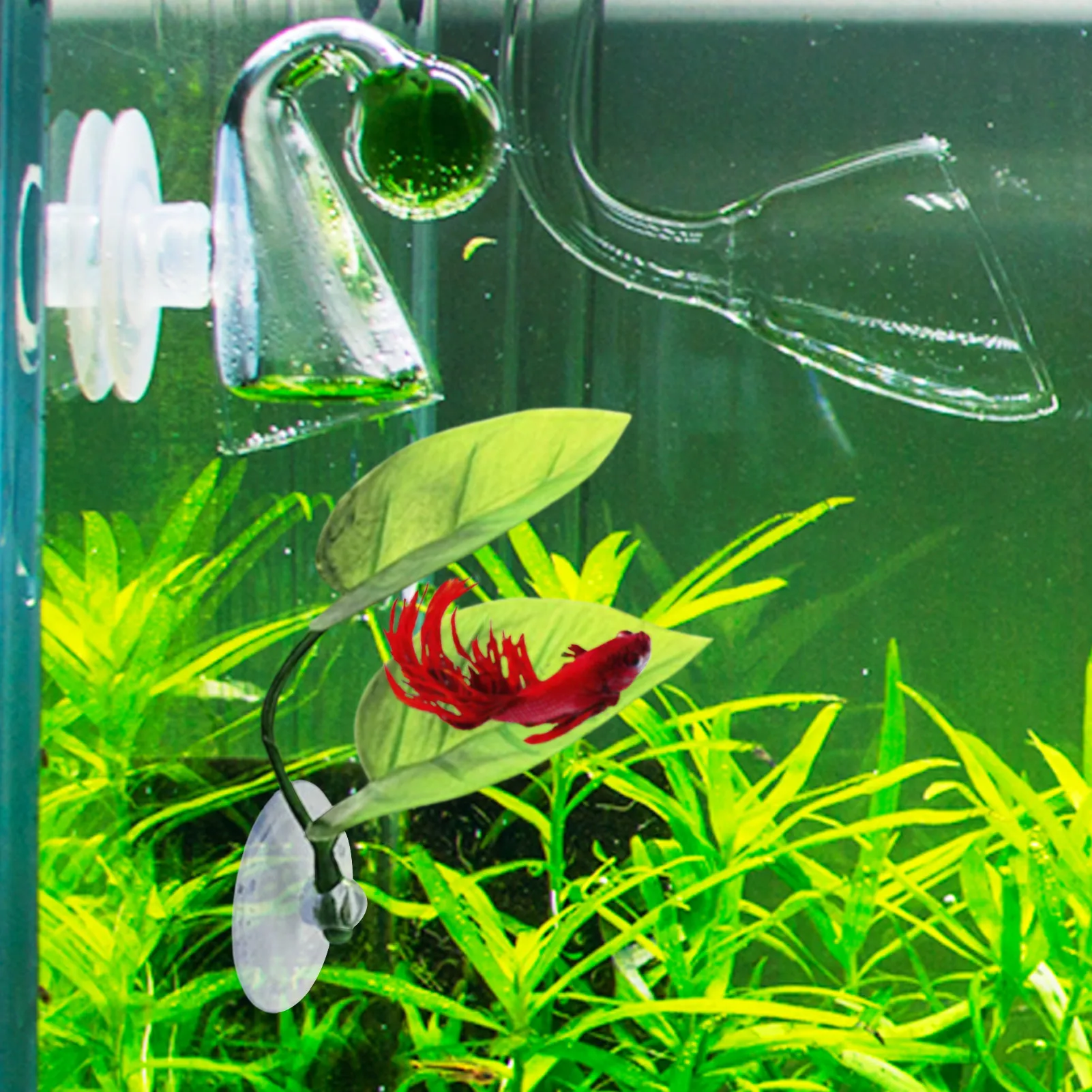 Fish Tank Betta Leaf Simulated Betta Fish Leaf Pad Betta Hammock Toys Aquarium Plants With Suction Cup Green Tank Decorations