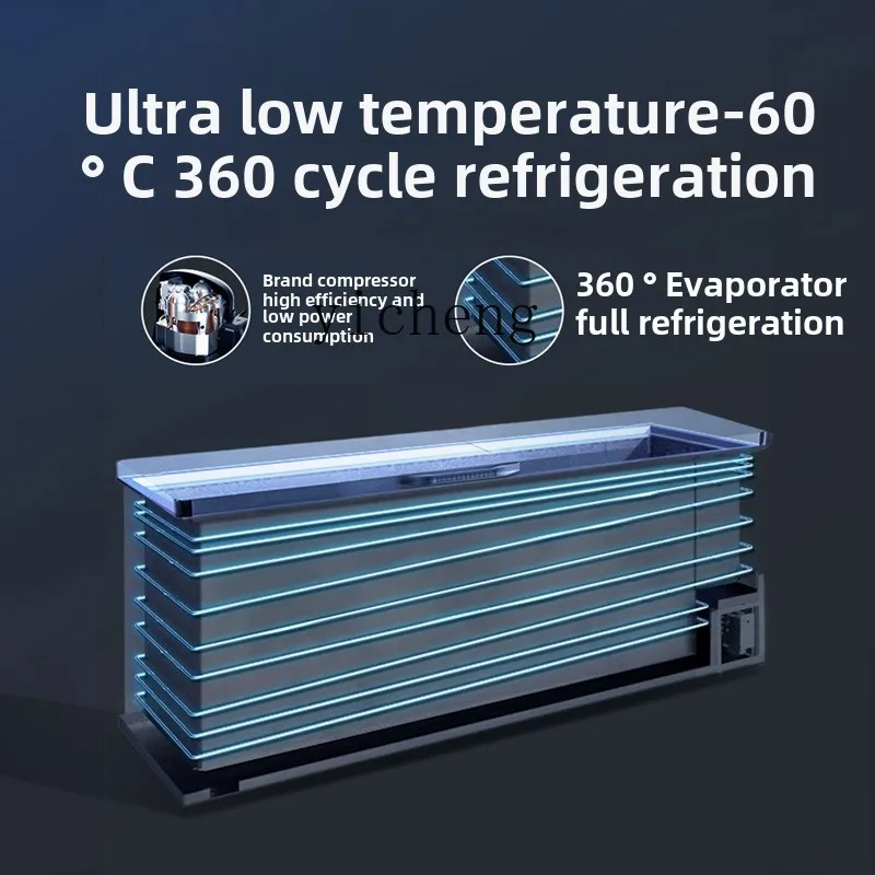 ZK zamrażarka o bardzo niskiej temperaturze lodówka o dużej pojemności sub-zero domowa komercyjna zamrażarka do owoców morza