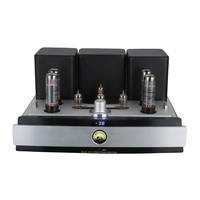 YAQIN MS-20L EL34 Power Amplifier HiFi tube Amplifier Bluetooth Digital USB Input