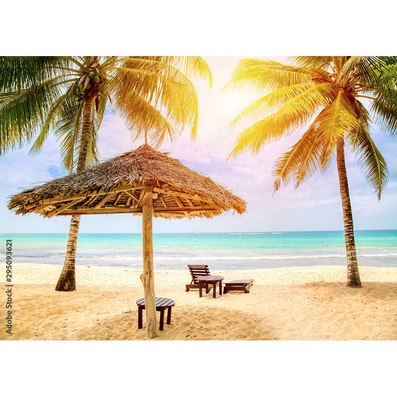 Tropical Sea Beach Palms Tree Photography Background Natural Scenic Photo Backdrops Photocall Photo Studio HHB 14