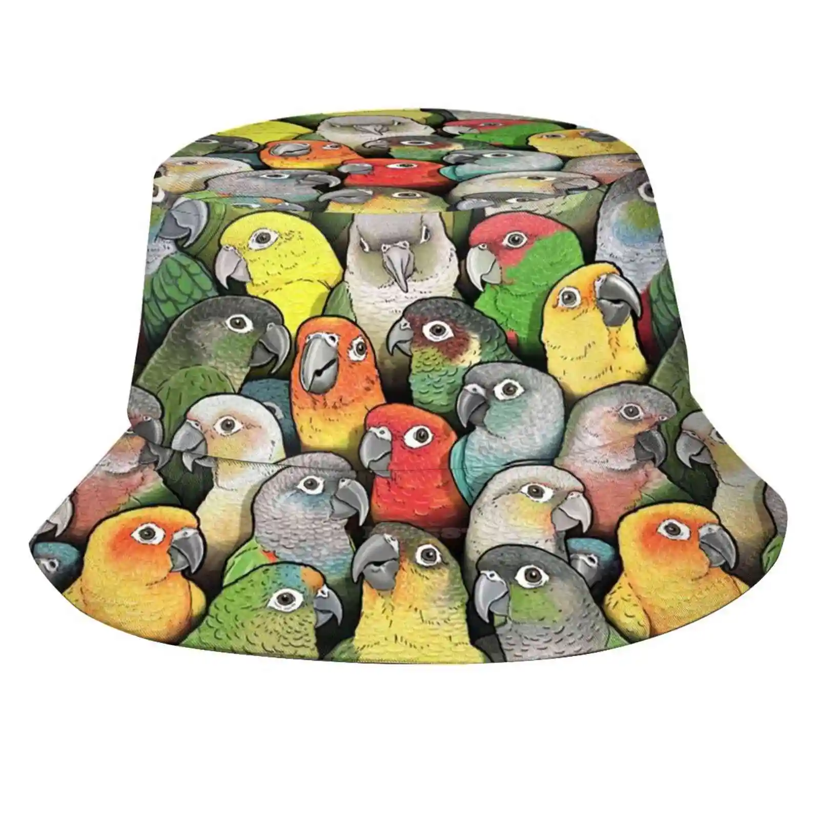 Colour Of Conures Causal Cap Buckets Hat Parakeet Bird Colourful Pattern Parrot Scarlet Conure Crimson Conure Peach Faced