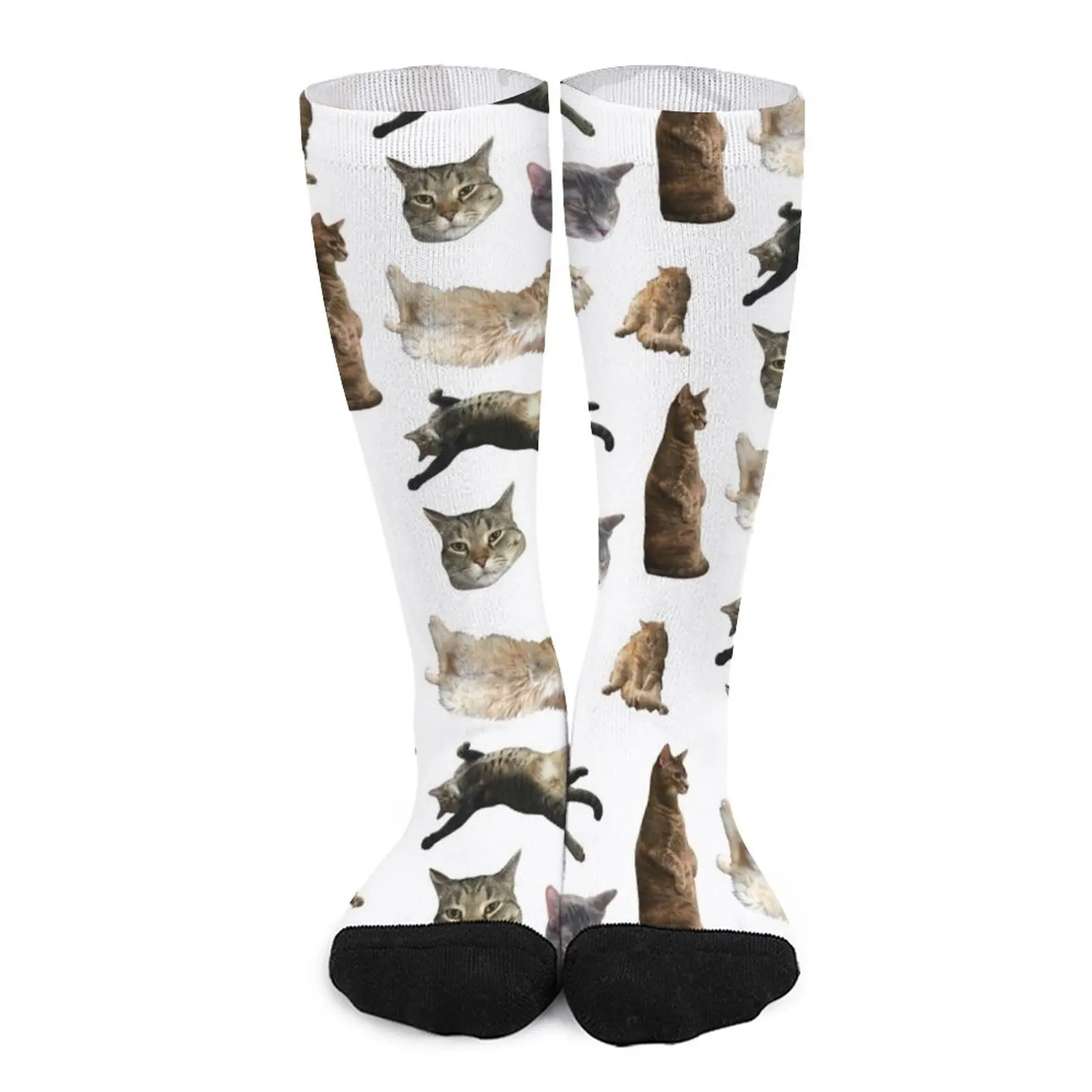 

My Cats Socks sock men Man socks Male sock