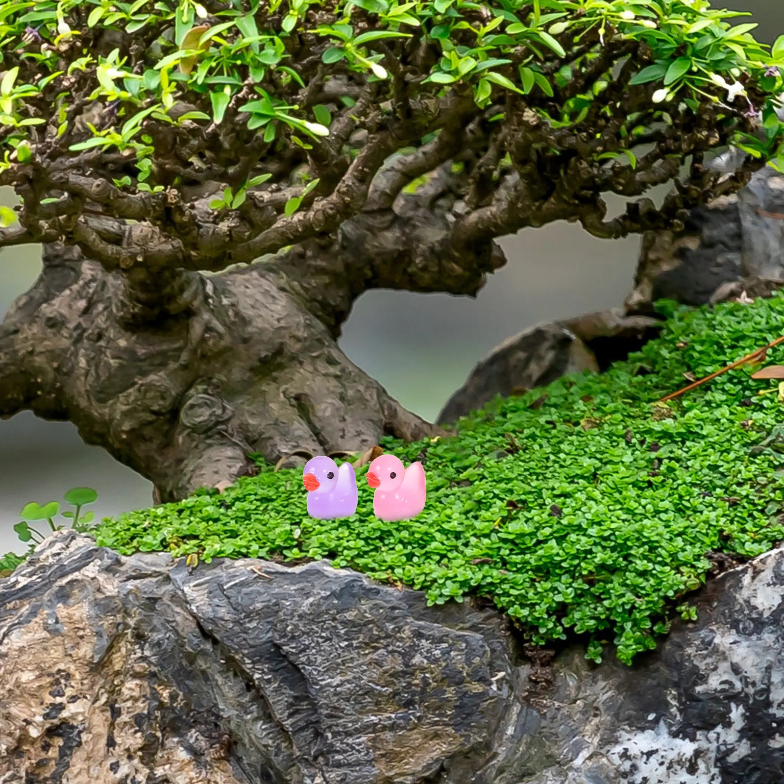 60Pcs Night Glow Mini Duck Res - Bonsai Garden World review and price