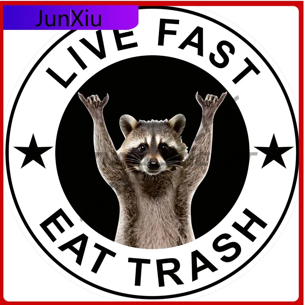 

Live Fast Raccoon Sticker Funny Cute Car Decal Cooling Box Waterproof Vinyl Decal Car Laptop Wall Window Bumper Moto Cover Scrat