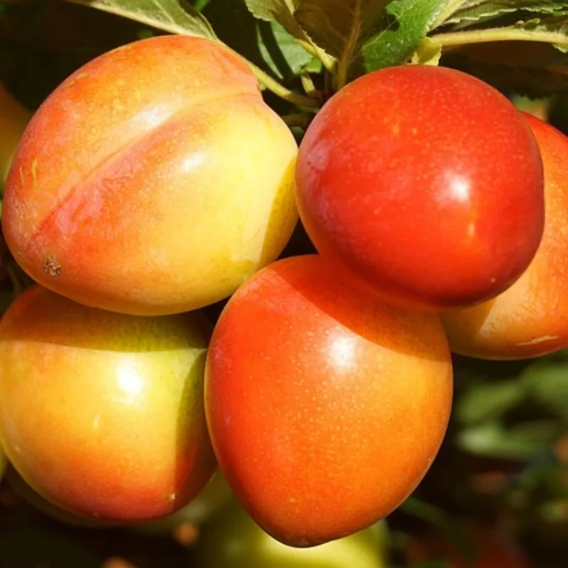 

Передняя задняя ось из сплава, радиоуправляемая мостовая ось, запасные части для радиоуправляемого автомобиля для осевого SCX10 II 90046 90047, радиоуправляемый гусеничный грузовик