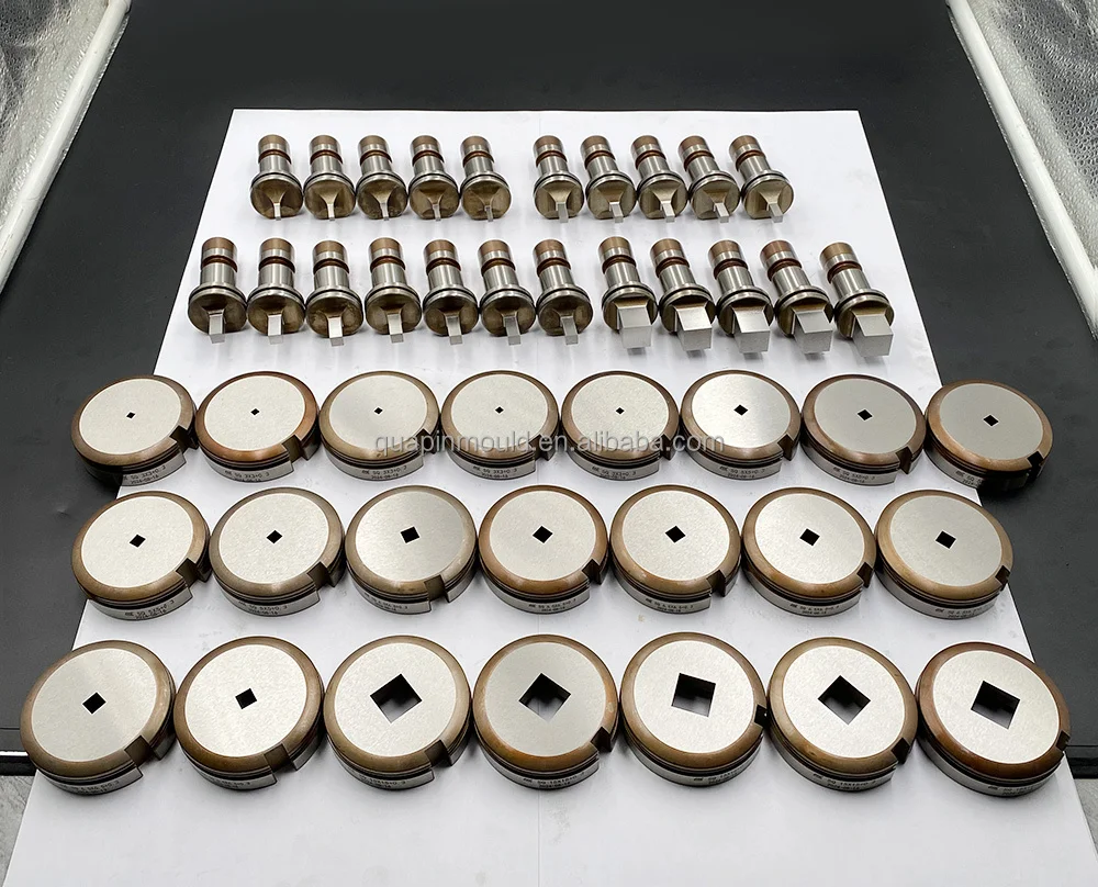 أدوات Quapin CNC لكمة الصحافة الملحقات أداة صيانة خاصة يموت