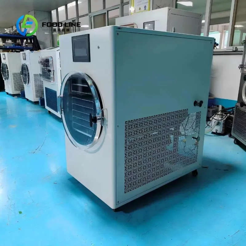 Customized Commercial Stainless Steel Automatic Food Dehydrator Machine Fruit Vegetable Meat Vacuum Freeze Dryer Lyophilizer