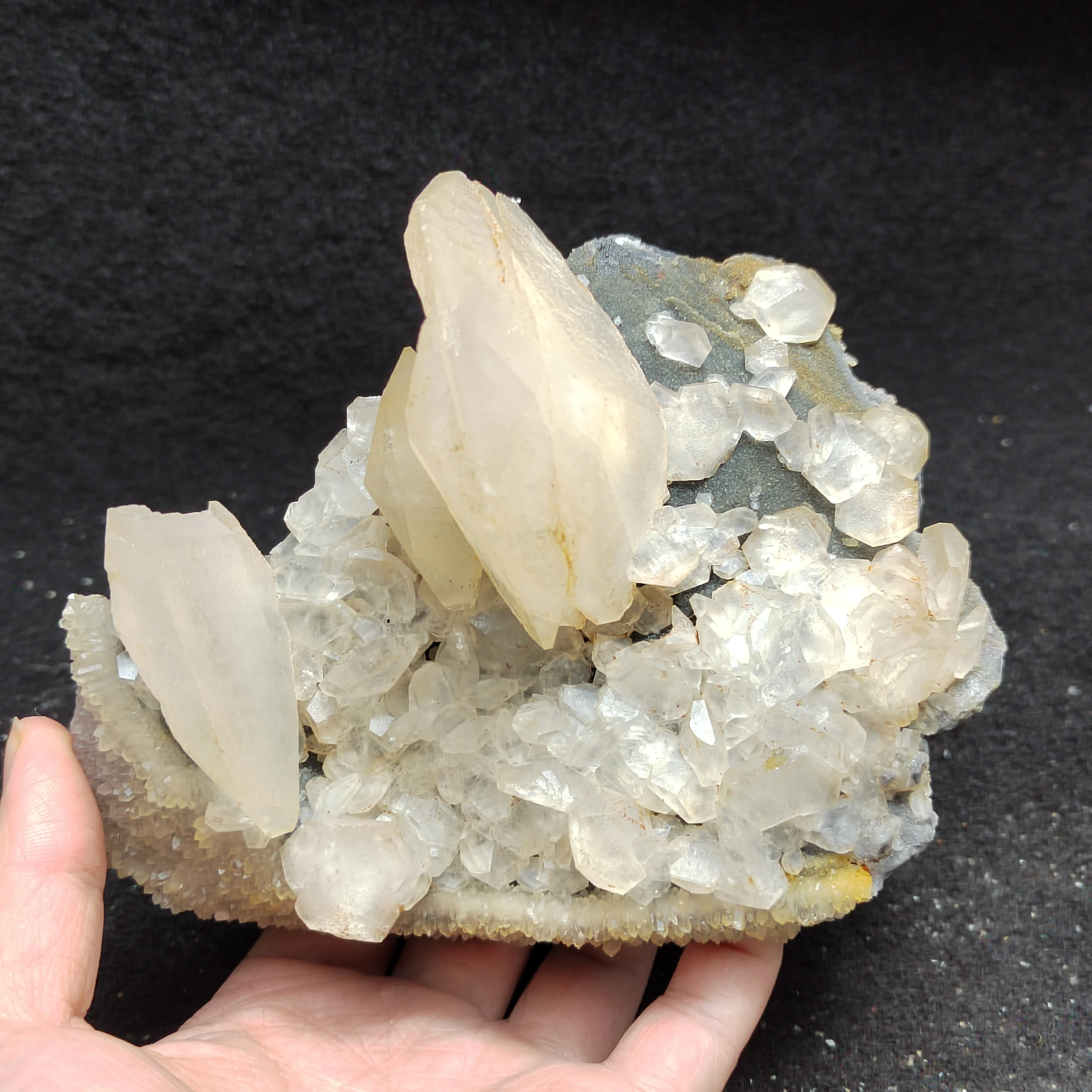 802g100% natural calcite shell mineral crystal specimen healing energy geology teaching collection QUARTZ GEM home decoration