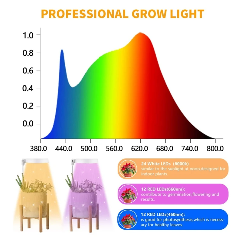 ABSF-Lampe Halogène LED pour Culture de Plantes d'Nik, Minuterie existent, pour Bonsaï et Succulentes, 4/8/12/18 h