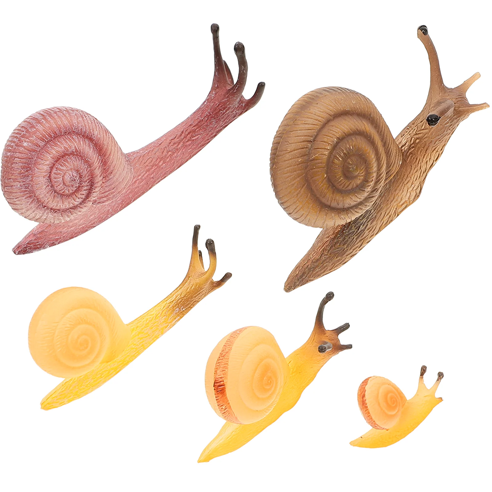 

5 Pcs Simulation Snail Toy Realistic Models Figure Animals Miniature Decoration Plastic Snails Fake Figures Child Toys