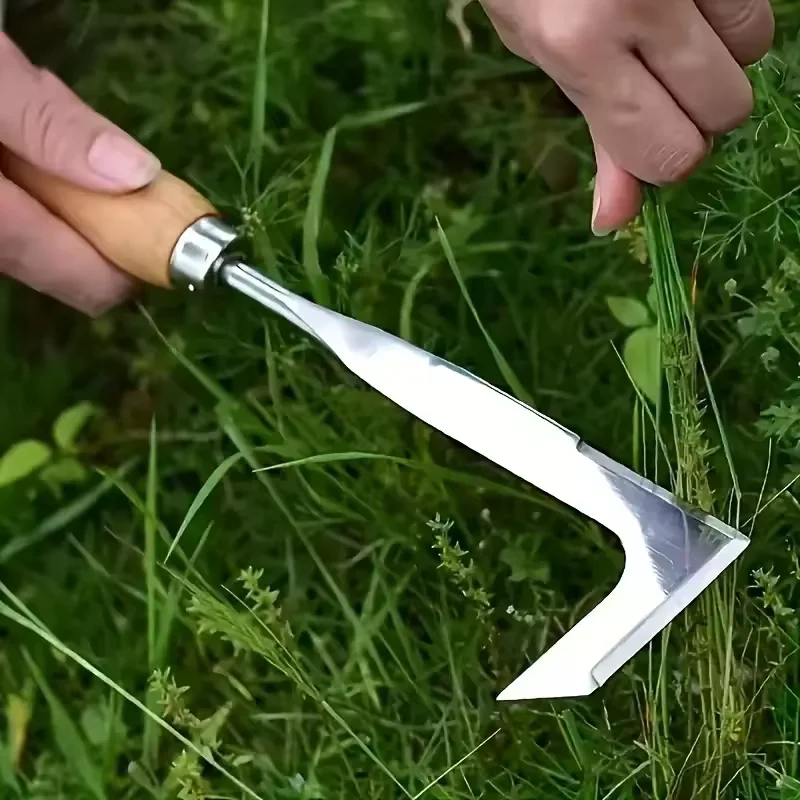 Stainless Steel Gap Weeding To - Gardening Tools Used For Weeding review and price