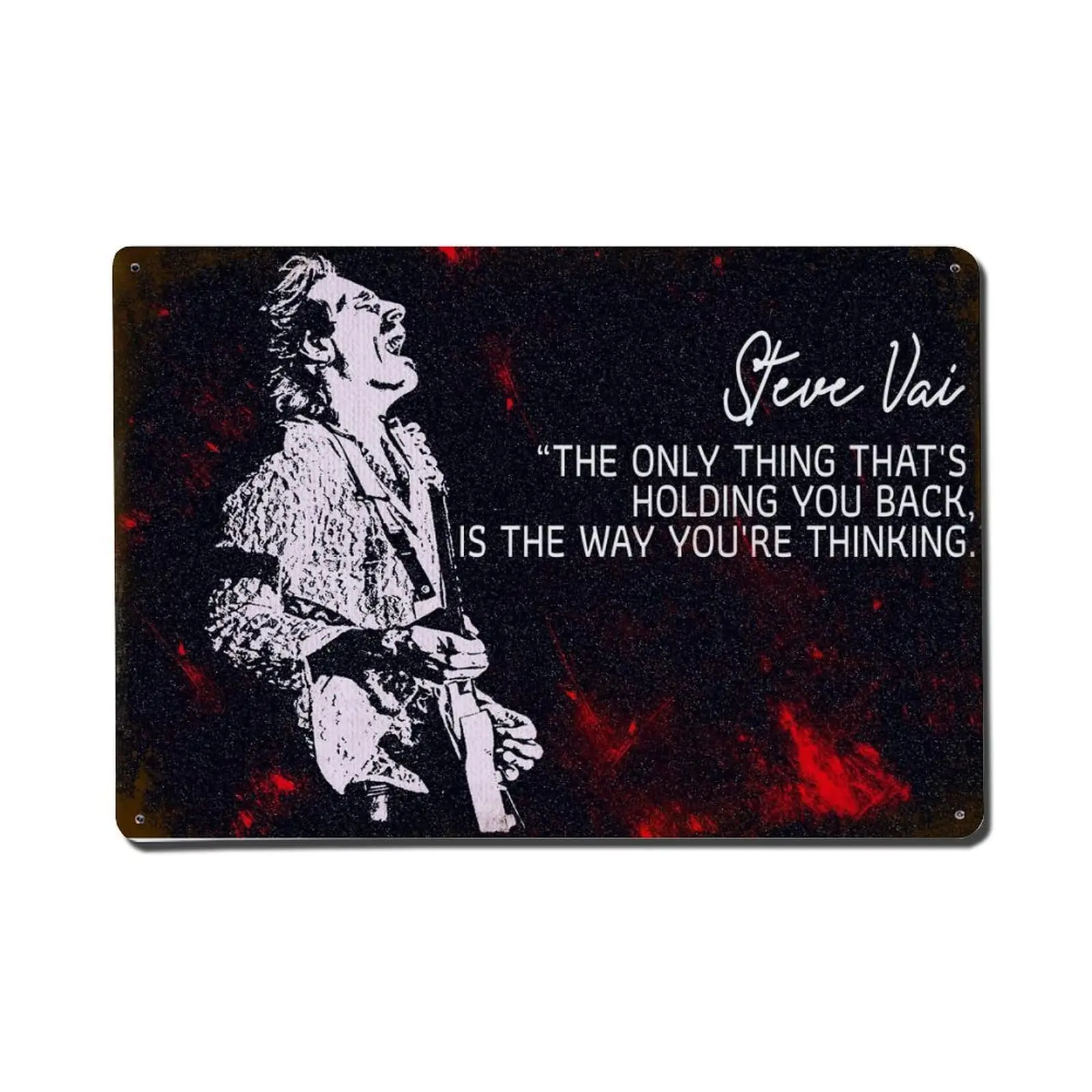 Steve Vai Metal Tin Sign Poster  Painting Sign Funny Wall Vintage Art Decor Retro Plaque For Home Bar Pub Club Cafe Decoration