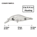 Blank Lures