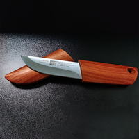 Portable Fixed Blade Knife with Knife Case Stainless Steel Blade Plastic Handle Camping Travel Outdoor Tool Holiday Gift