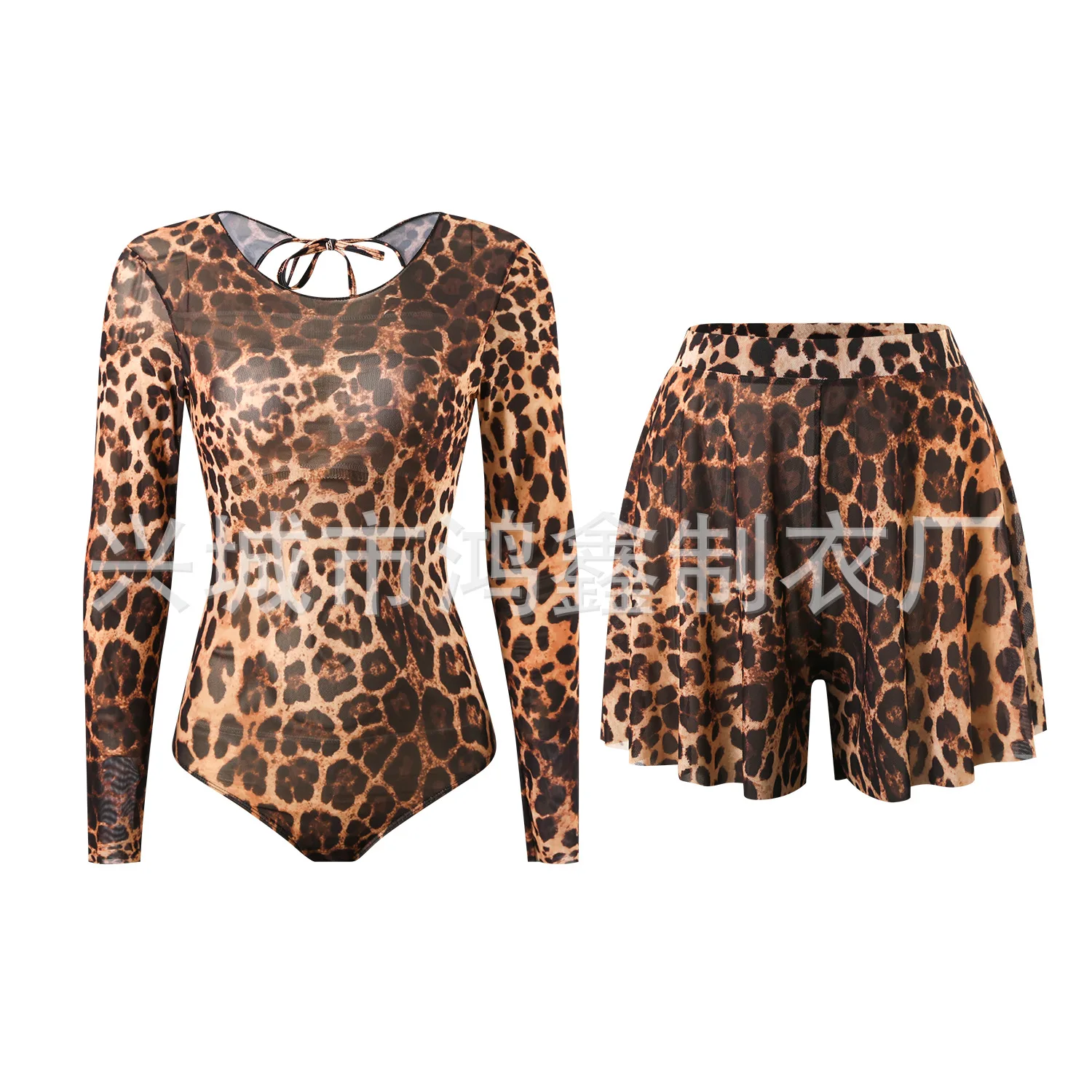 Slim-fit Mesh Skirted One-Piece Swimsuit for Women Retro Sexy Leopard Print Russian Style 2026 New Arrival