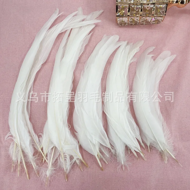 

White Rooster Tail Feather Decoration DIY Accessories Hair Accessories Materials Clothing Accessories Dream Catcher Photography