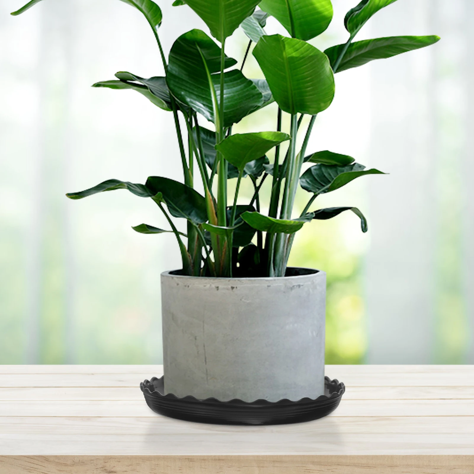 

5pcs Black Plastic Plant Trays for Indoor Flower Pot Bottom Durable Saucer No Soil Staining Matches All Pots Garden