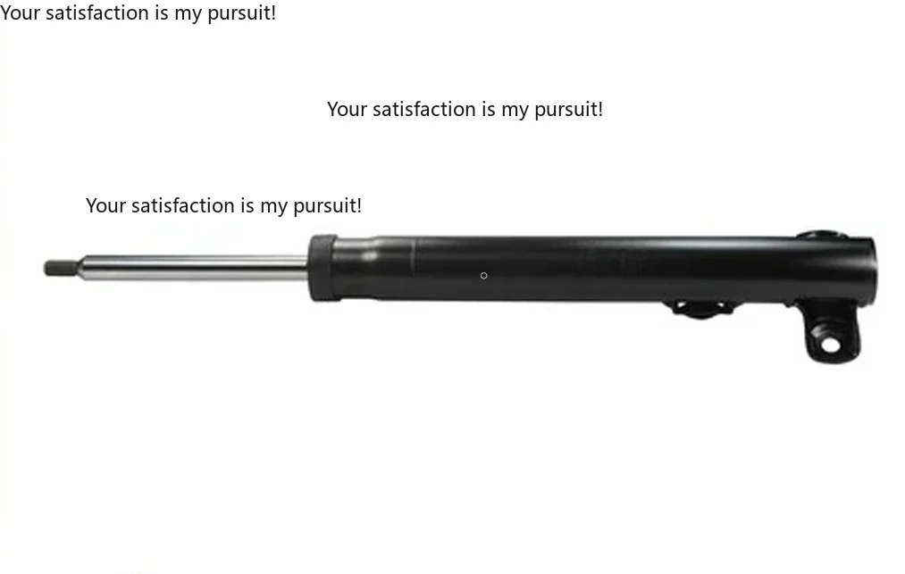 For Mercedes Benz C123 W123 S123 W123 76-85 and other 1243203030 Front Shock Absorber