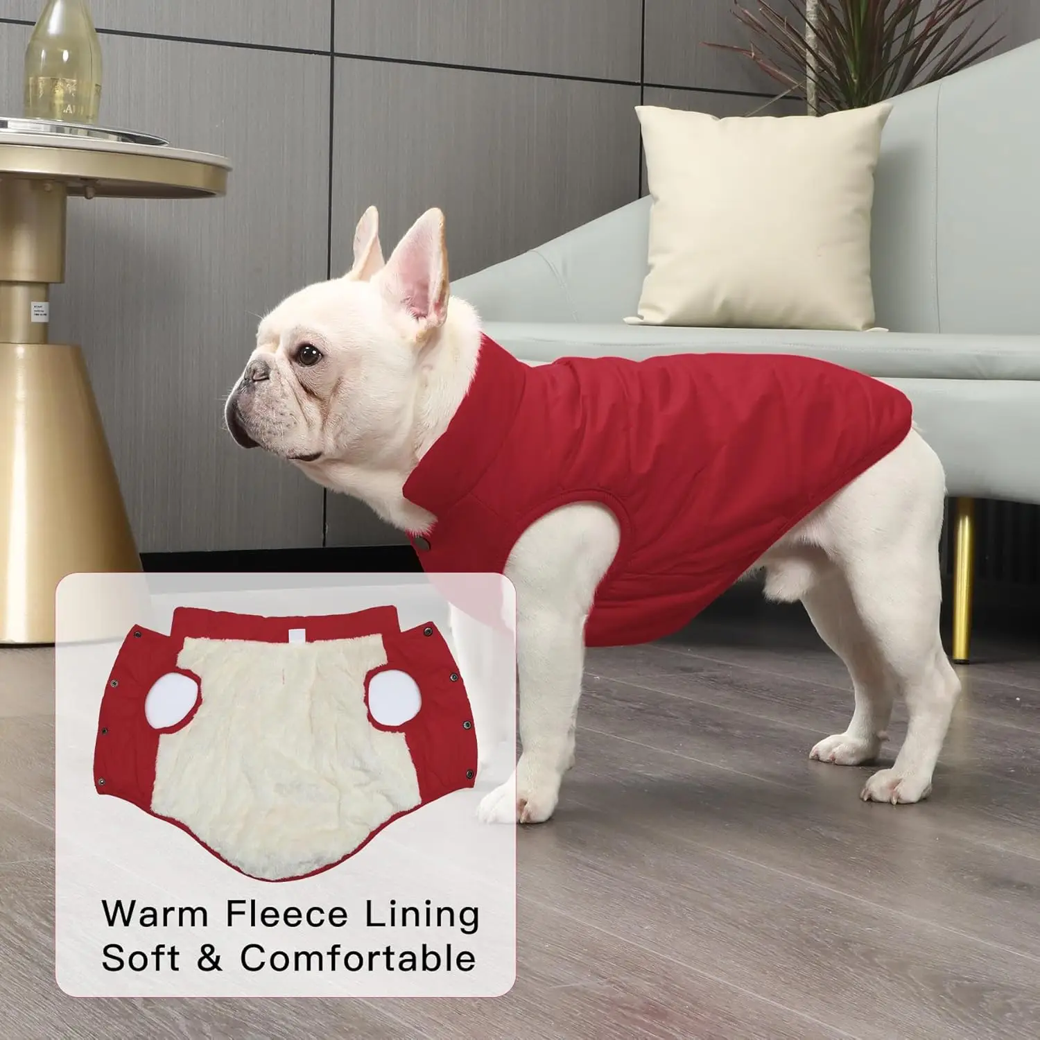 

2 Layers Fleece Lined Warm Dog Jacket for Puppy Winter Cold Weather,Soft Windproof Small Dog Coat,Green S