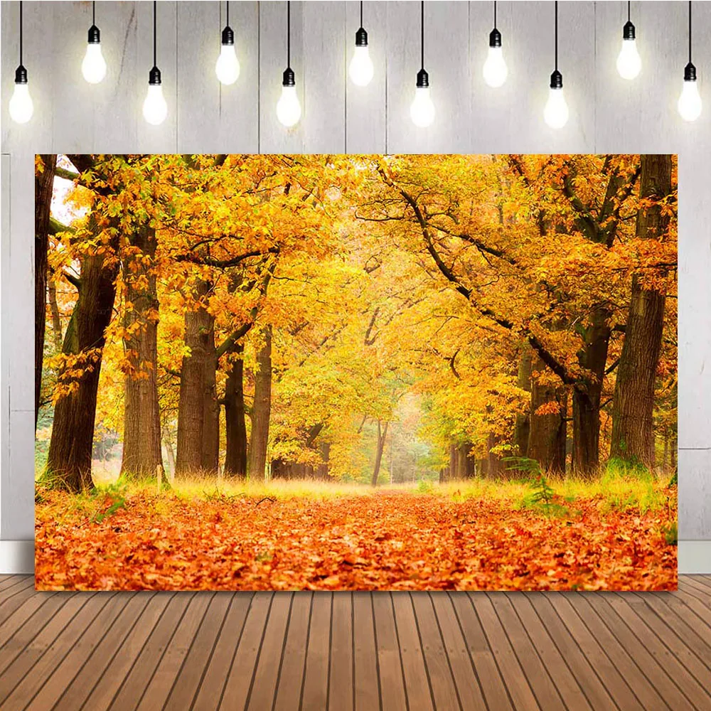 Fall forest backdrop for photography Autumn fallen leaves trail photo background studio portrait photographic backgrounds