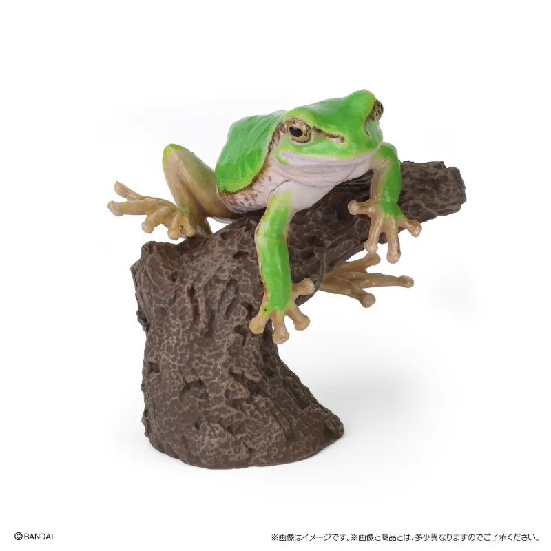 Original Bandai Big Biological Map Milk Tree Frog Gashapon Qversion Mini Animal Anime Action Figure Model Toys Gift Collection