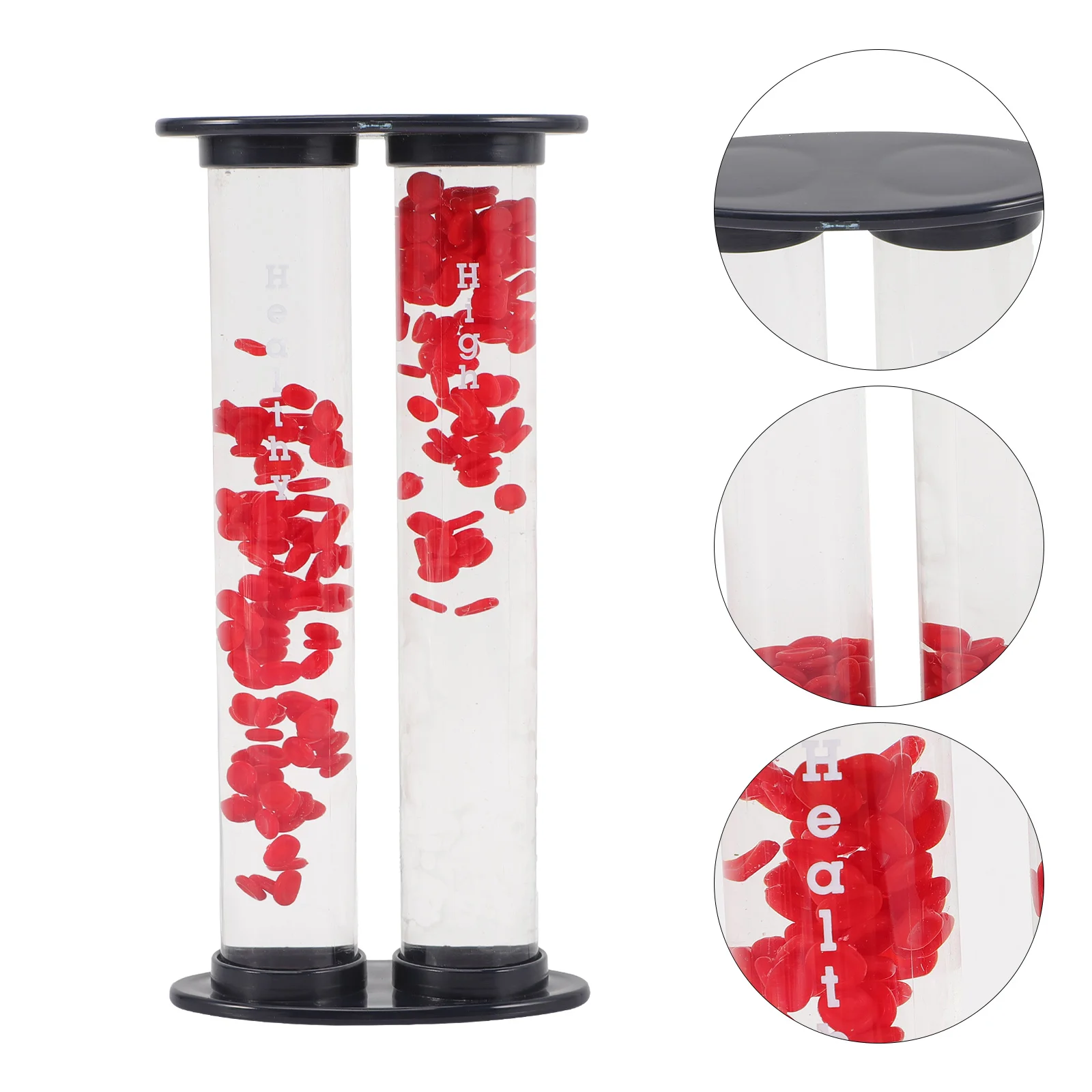 Vascular Glucose Model Models Medical Teaching Supplies Blood Vessel for Display School Plastic Hospital 2-tube Sugar