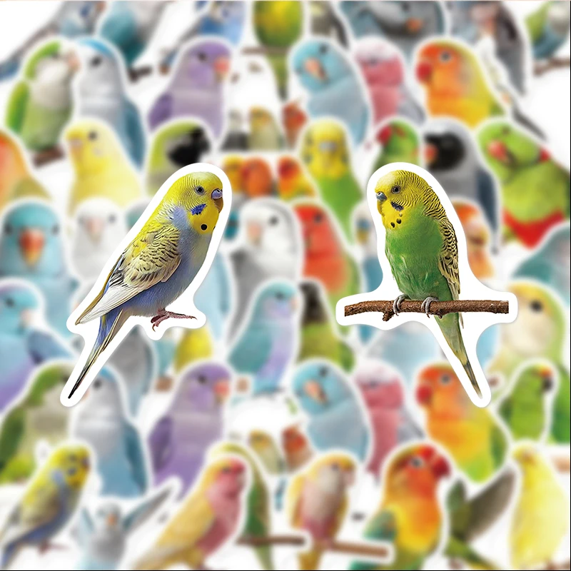 

50 Cute Parrot Stickers, Suitable for Diaries, Laptops, Car Bumpers, Skateboards, Water Bottles, Computers, Phone Decorations, Etc