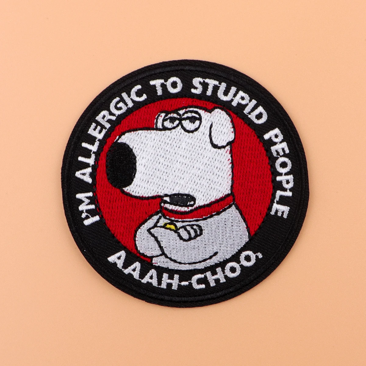 Рисунок 2 - Милые нашивки с изображением енота на одежде