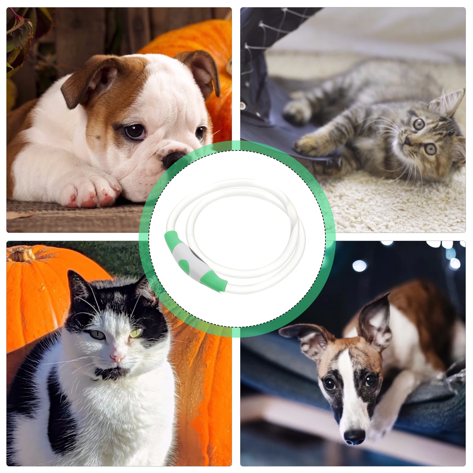 

Luminous Pet Collar Light Padded Flashing Lighted Glowing Accessory Dog Neck Decor Air