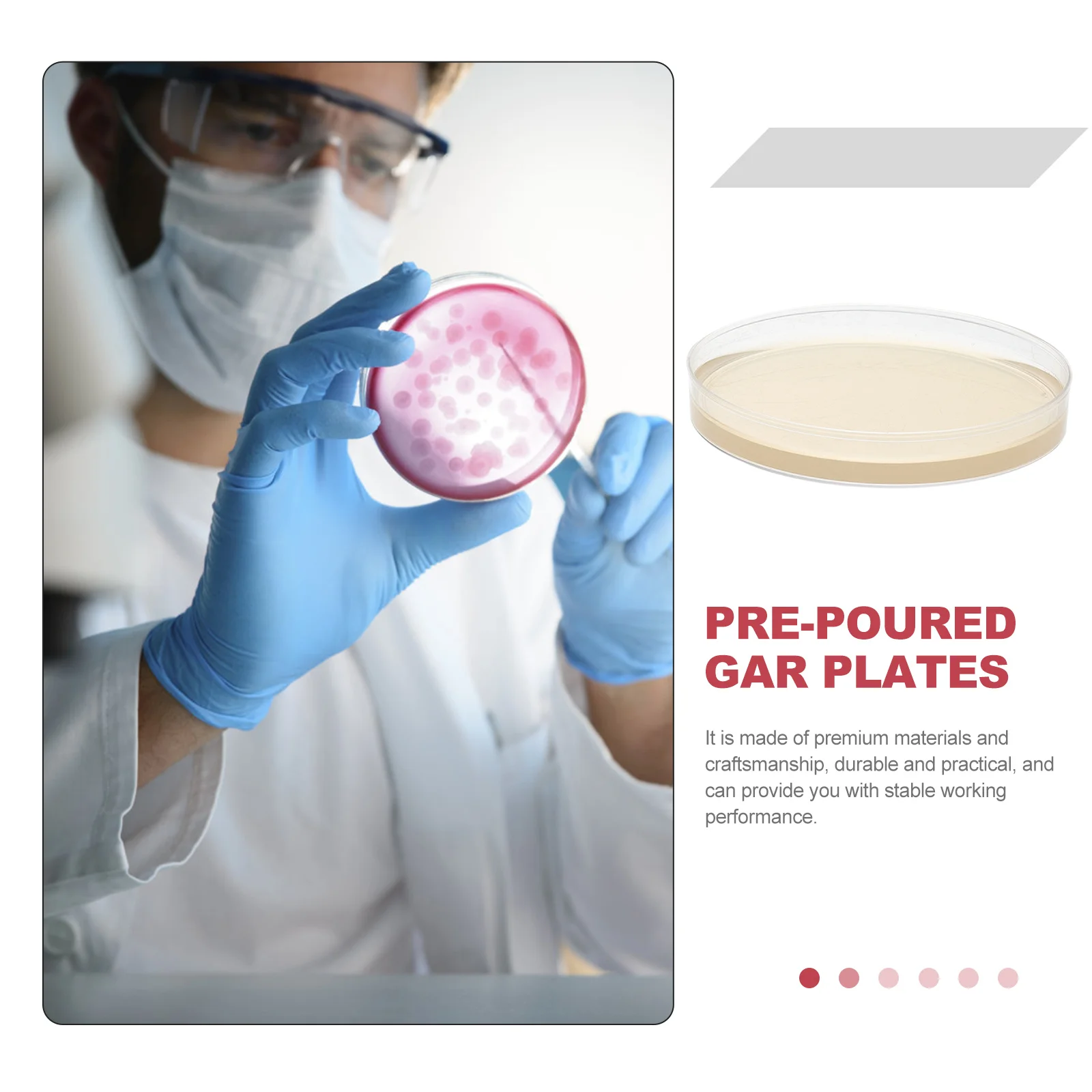 

10pcs Nutrient Agar Plate 9cm TSA Agar Plates Pre Poured Petri Dishes Science Fair Project Kit Medium Tissue Culture Practical