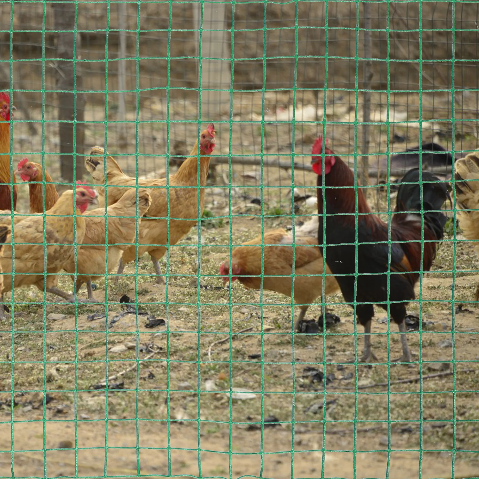 

Breeding Fence Net Green Mesh Fencing Chiken Wire Chicken for Indoor Purse Seine