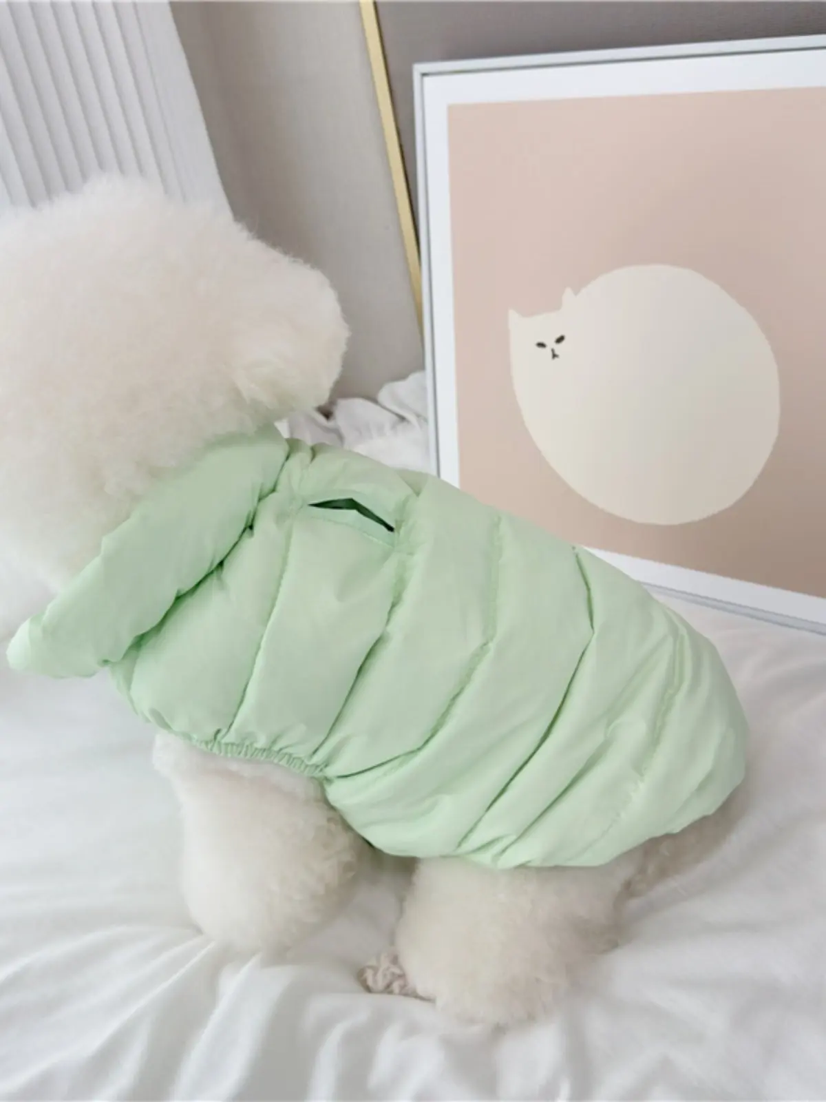Warm Windproof Cotton Dog Coat Monochromatic Designer Winter Clothes for Large Dogs Puppy Accessories