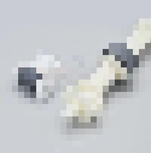 

5x 1466932 1447353 Держатель ролика-задержителя в сборе для EPSON L800 L801 L805 L810 R270 R285 R290 R295 R360 R390 P50 T50 T59 T60